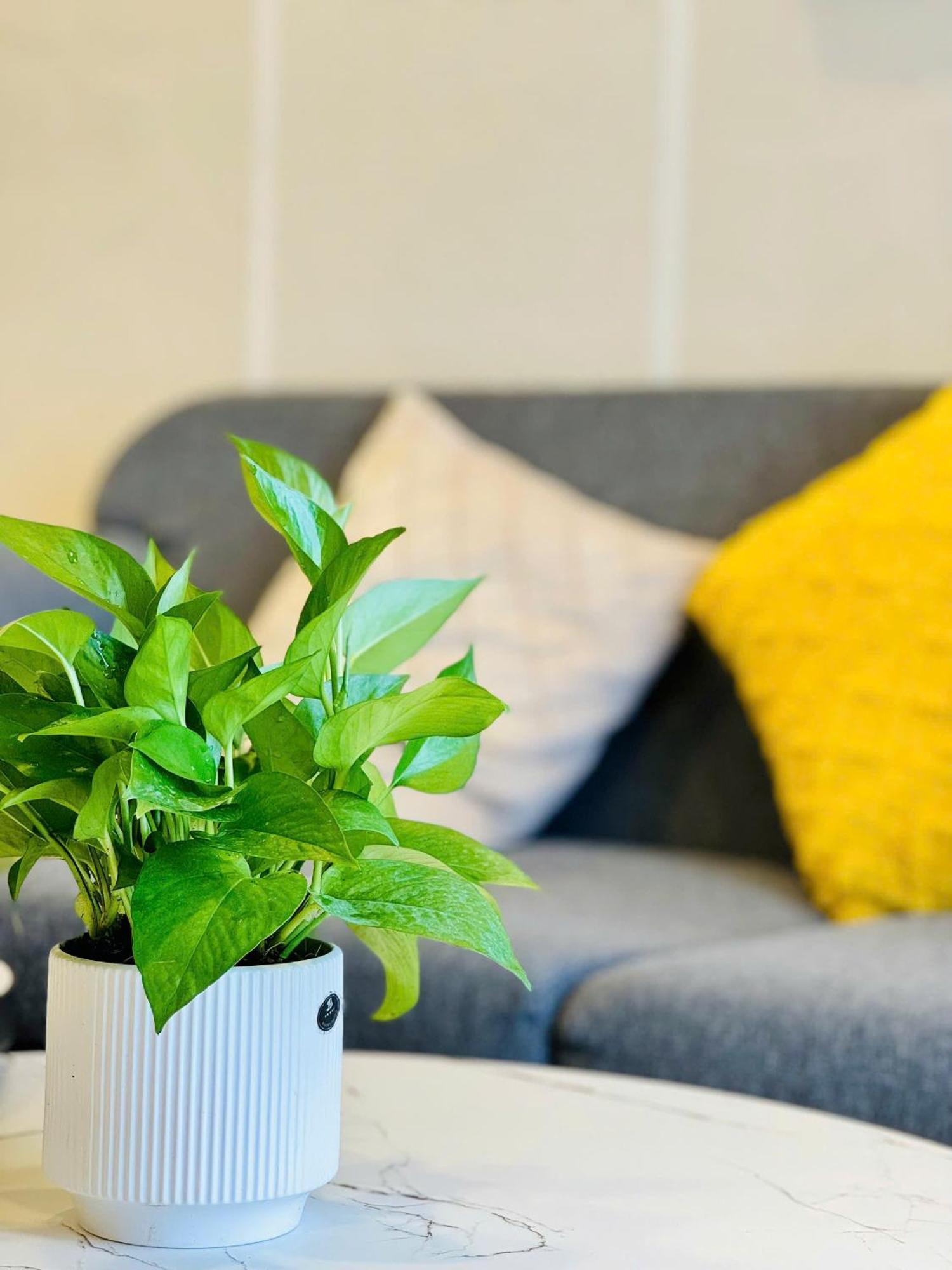 Soho Apt - Luxury Stay, Next To Benthanh Market Ho Či Minovo Město Exteriér fotografie
